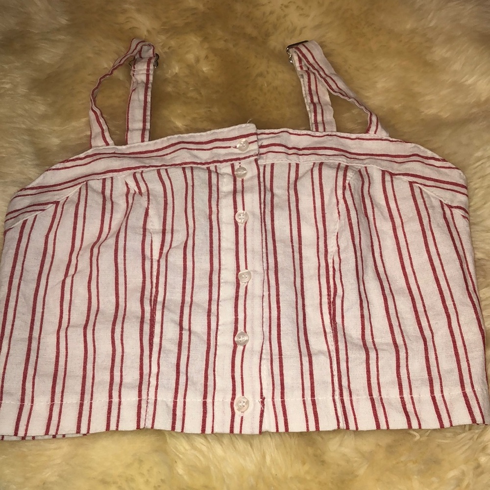 NWT button up stripped brandy Melville crop
